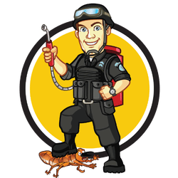 Pest Control